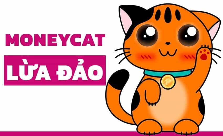 MoneyCat có lừa đảo không?