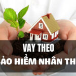 Vay theo bảo hiểm nhân thọ là gì?