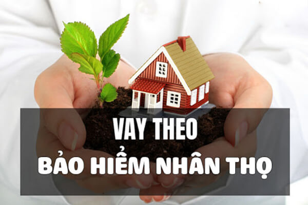 Vay theo bảo hiểm nhân thọ là gì?